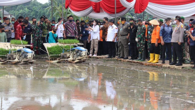 Menteri Pertanian dan Gubernur Lampung Lakukan Peninjauan Lokasi Olah Tanah & Olah Tanam di Trimurjo