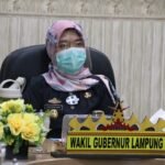 Wakil Gubernur Lampung Hadiri Video Conference SUN - Nusantara Info