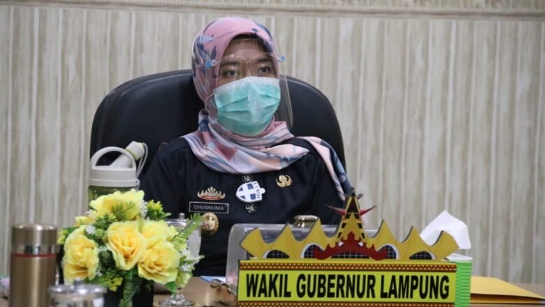 Wakil Gubernur Lampung Hadiri Video Conference SUN
