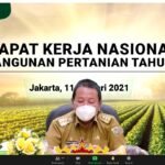 Gubernur Lampung Ikuti Rakernas Pembangunan dan Pertanian Tahun 2021