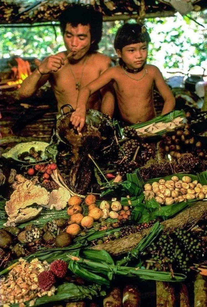 Mengenal Lebih Dalam Suku Punan, Suku Dayak Pedalaman Penjaga Hutan Rimba Kalimantan