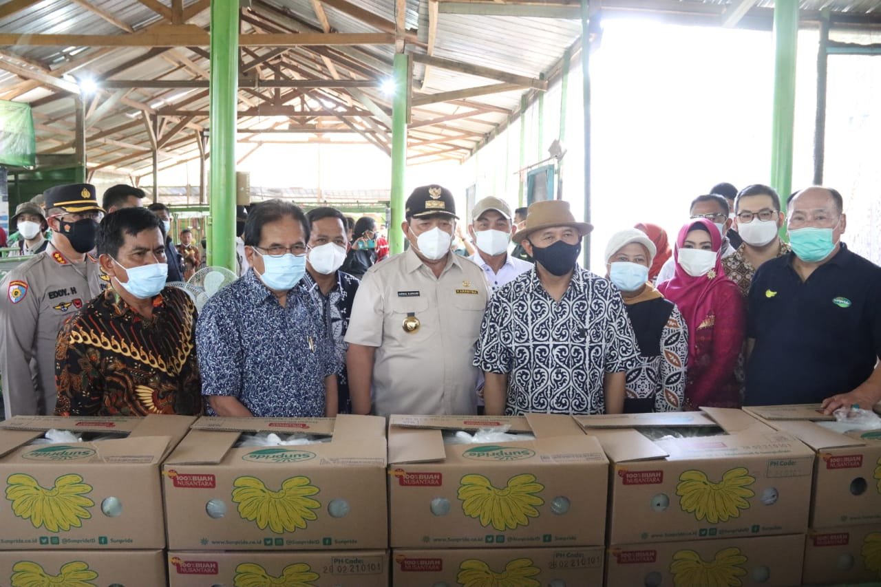 Dua Menteri Kunjungi Kebun Pisang di Lampung, Gubernur Arinal Jelaskan Kartu Petani Berjaya