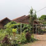 Karya Tangan Dingin Cris Kuntadi, Omah Kayu Farm Tebar Manfaat di Masa Pandemi