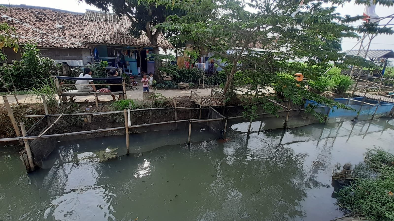 Dorong Kretifitas Generasi Muda, Karang Taruna di Kabupaten Karawang Tabur 1.200 Benih Ikan Lele