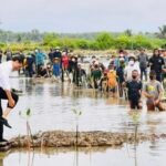 Presiden Joko Widodo Tanam Mangrove Bersama Dubes dan Masyarakat di Tana Tidung