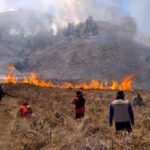 Dampak Kebakaran, Okupansi Hotel di Bromo Menurun