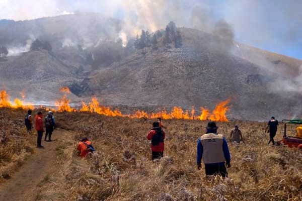 Dampak Kebakaran, Okupansi Hotel di Bromo Menurun