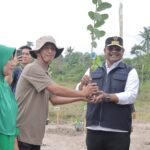 Rehabilitasi Lahan Kritis, Pj Gubernur Babel Terus Gencarkan Gerakan Penanaman Pohon