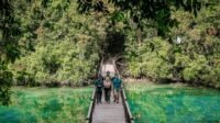 Menparekraf: Keberlanjutan Habitat Ubur-Ubur di Pulau Kakaban Harus Jadi Prioritas