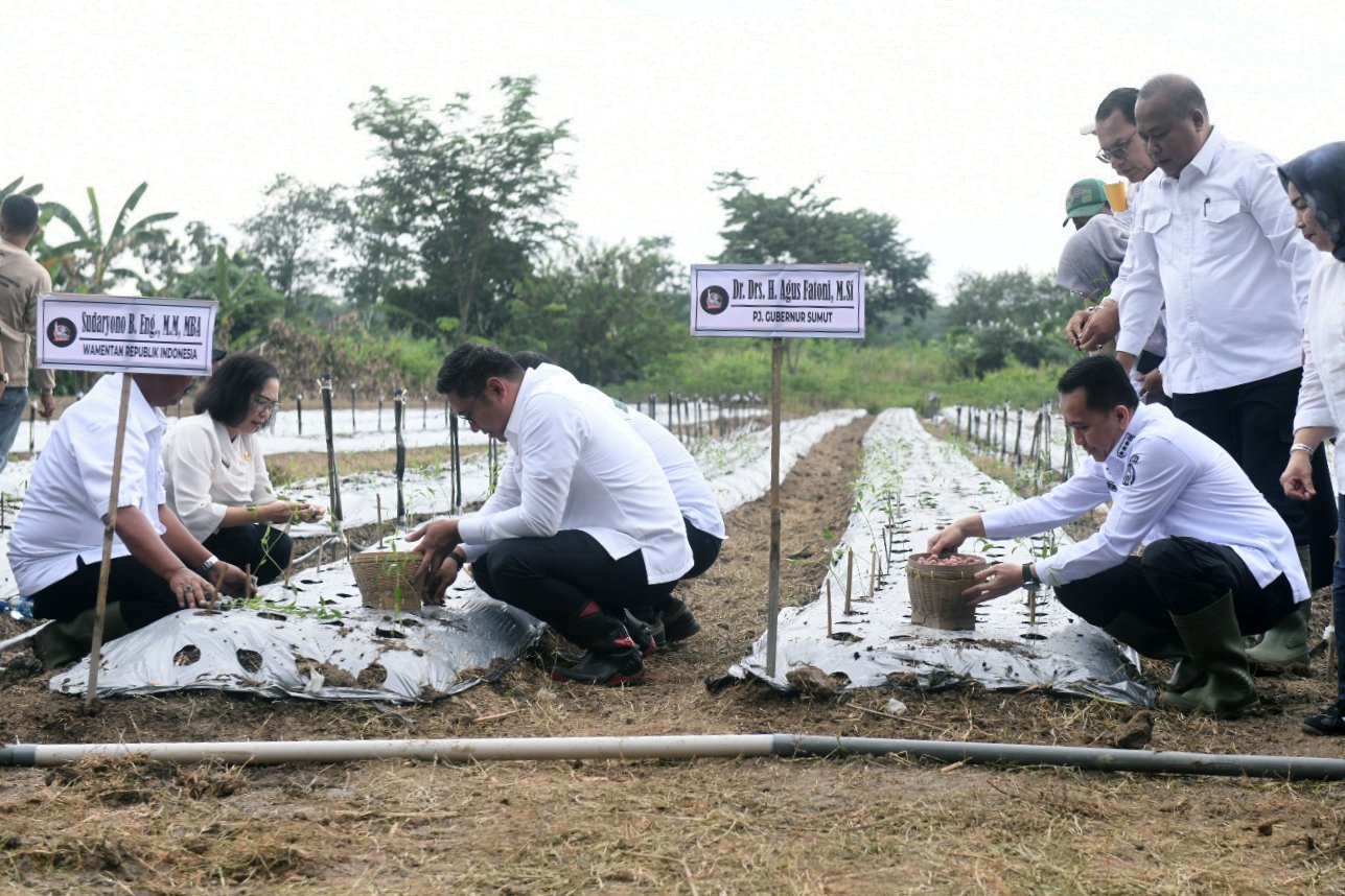 Pemprov Sumut Komitmen Jaga Kedaulatan Pangan Sumatera Utara