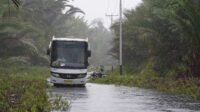 Layani 322 Trayek, Angkutan Jalan Perintis Hubungkan Wilayah Terluar Indonesia