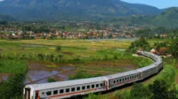 Jakarta–Bandung Cuma Rp16.000: Jelajah Alam, Budaya, dan Kuliner Lewat Rute Kereta Lokal yang Terlupakan