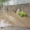 Hujan Deras Menyebabkan Jalan di Tangerang Terendam Banjir