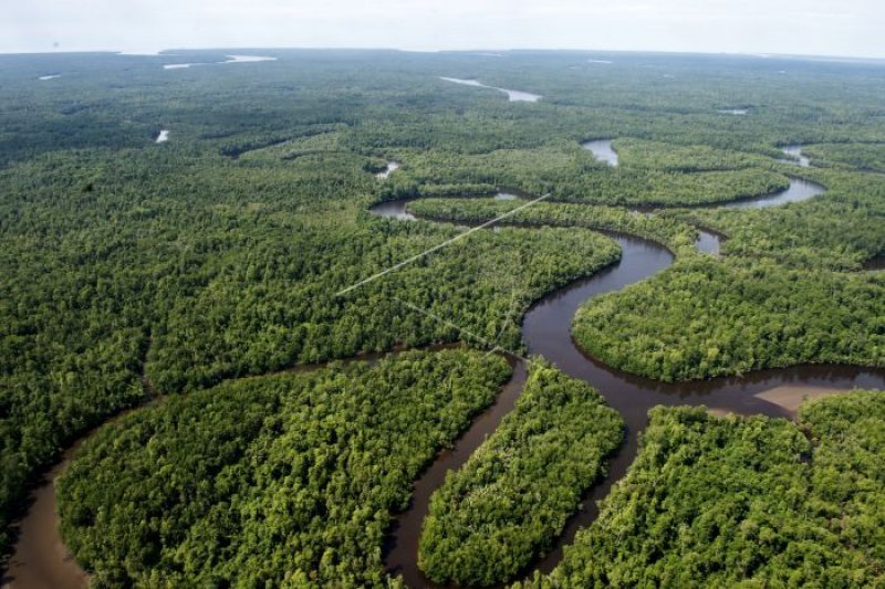 Dari Salju Tropis hingga Rumah Pohon Ajaib, Inilah 5 Fakta Papua yang Mengagumkan!