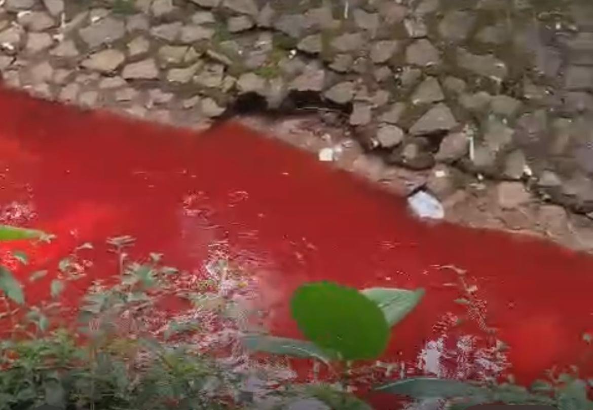 Air Kali di Rawa Buntu Berubah Warna Merah! Ini Penjelasan DLH dan Wali Kota Tangsel