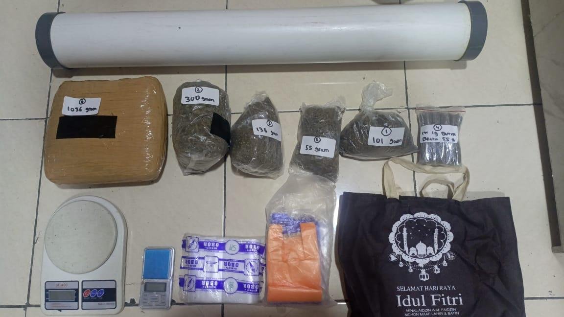 Polsek Pinang Gerebek Pengedar Ganja 1,6 Kg di Kelapa Dua, Pelaku Terancam Hukuman Seumur Hidup!