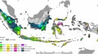 BMKG Peringatkan La Nina Segera Tiba: Musim Hujan Datang Lebih Awal dan Berlangsung Lebih Lama!