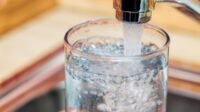 Bahan Kimia Abadi Mengancam Dunia: Air Minum dan Makanan Anda Terpapar PFAS!