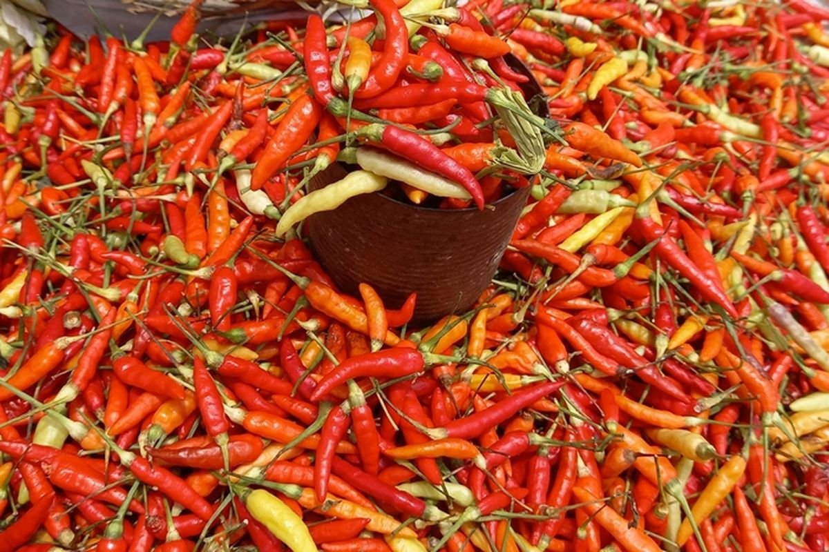 Inflasi Indonesia Desember 2025 Capai 2,92 Persen, Cabai dan Daging Ayam Jadi Biang Kerok