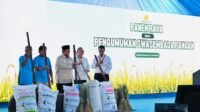 Indonesia Catat Sejarah Baru, Swasembada Pangan 2025 Tercapai