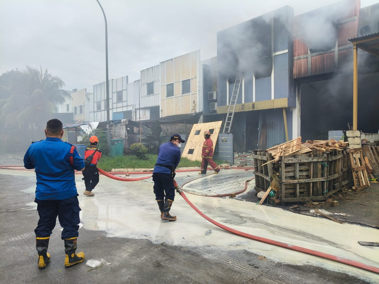 Gudang Pestisida Terbakar di BSD Tangsel, Aliran Sungai Tercemar dan Ikan Ditemukan Mati