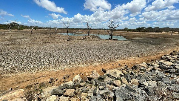 Kemarau 2026 Diprediksi Lebih Panjang dan Ekstrem, Ini Wilayah yang Terdampak