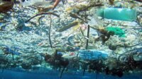 sampah-laut-garbage-patch-noaa