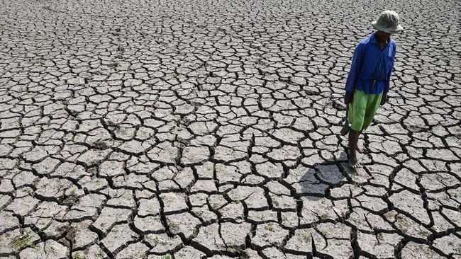 BMKG Prediksi El Nino Terjadi Hingga Kuartal Pertama 2027, Kemarau di Indonesia Berpotensi Lebih Panjang