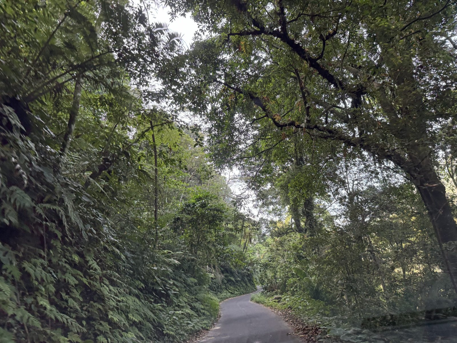 Black Canyon Petungkriyono Makin Diburu Wisatawan, Pesonanya Memikat Meski Jalannya Menantang