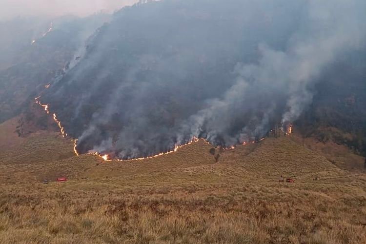 Kebakaran Bromo Meluas, 120 Hektare Lahan TNBTS Hangus