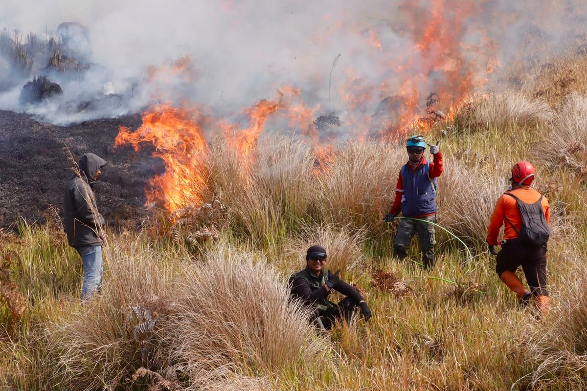 Karhutla Belum Padam, Penutupan Gunung Bromo Diperpanjang hingga 15 Agustus 2026