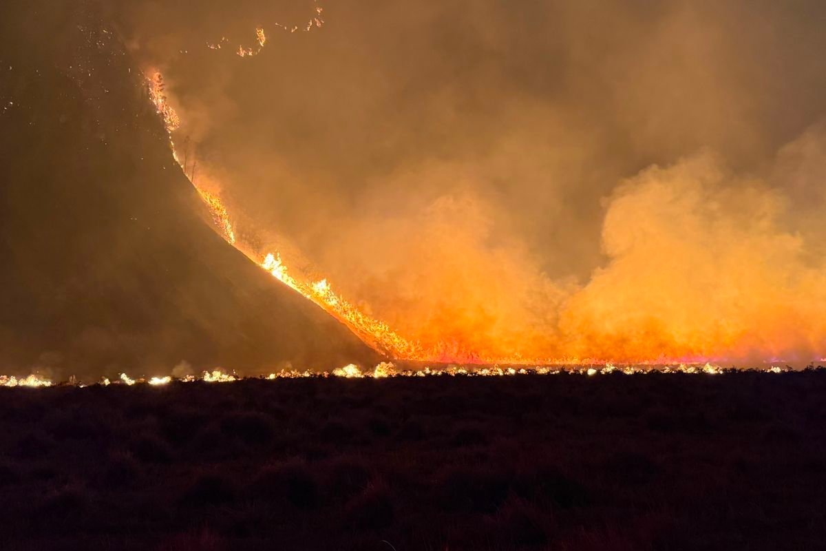 Karhutla Gunung Bromo Meluas, 742 Hektare Lahan Terbakar