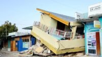 6a80f104a5ede BMKG Catat 1.598 Gempa Susulan di NTT Usai Gempa M7,7