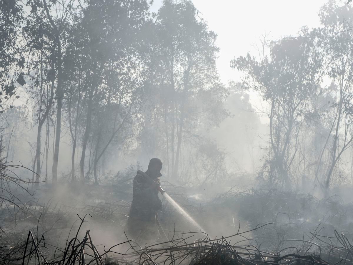 Sumber Air Menyusut, BNPB Ungkap Kendala Pemadaman Karhutla di Enam Provinsi