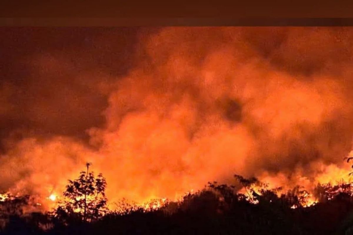 Karhutla Jawa Barat Capai 132 Kejadian, 196,40 Hektare Lahan Terbakar