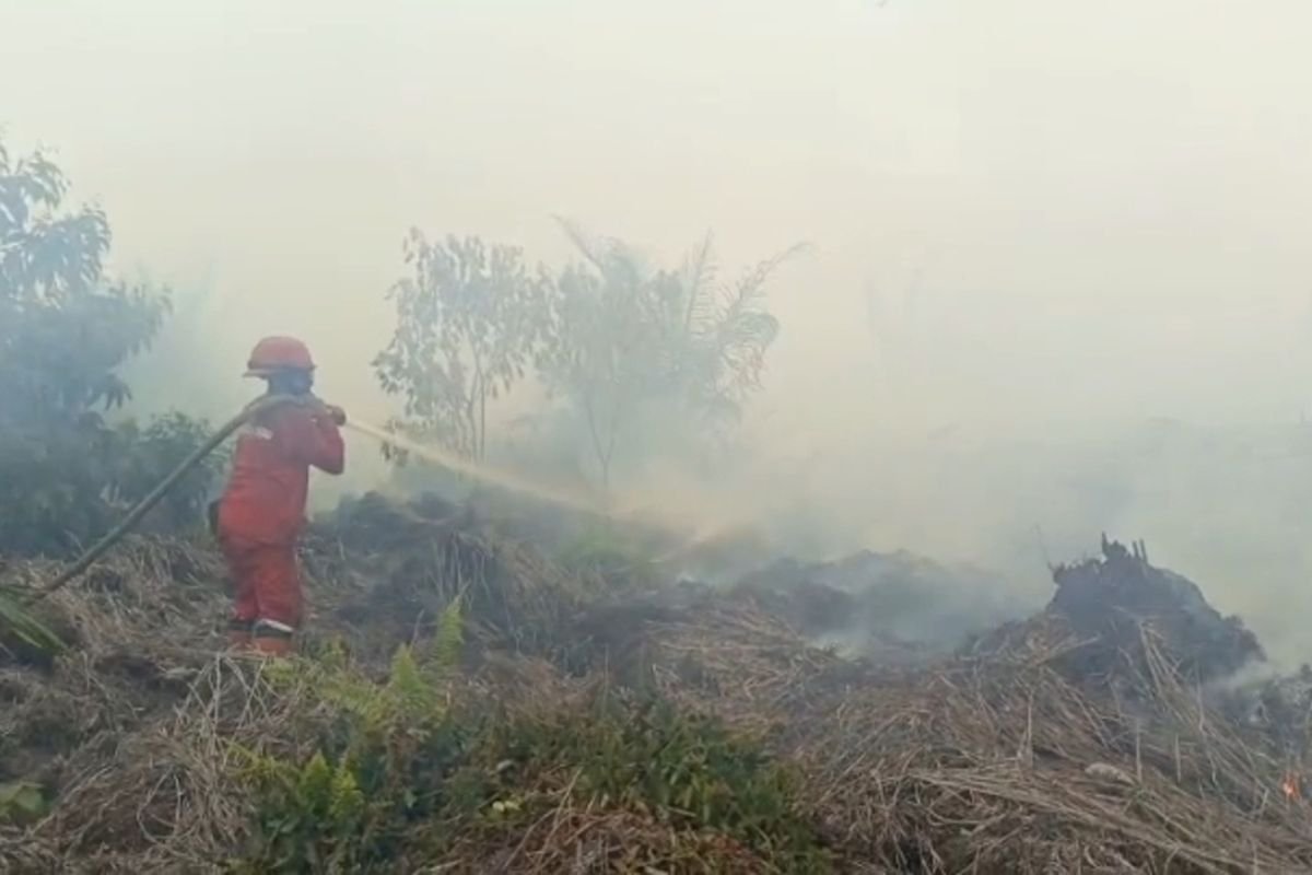 Karhutla Makin Parah, Pekanbaru dan Pelalawan Naik Status Jadi Tanggap Darurat
