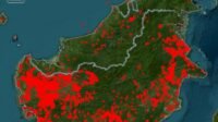 Hotspot Karhutla Bertambah, BNPB Kerahkan 52 Armada untuk Pemadaman