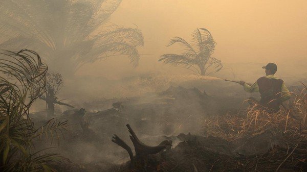 Titik Api Karhutla di Kalimantan Bertambah, Jarak Pandang 1-2 Kilometer