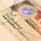 Tarif Visa on Arrival Indonesia Bakal Naik hingga Rp1 Juta, Ini Skema Baru untuk WNA