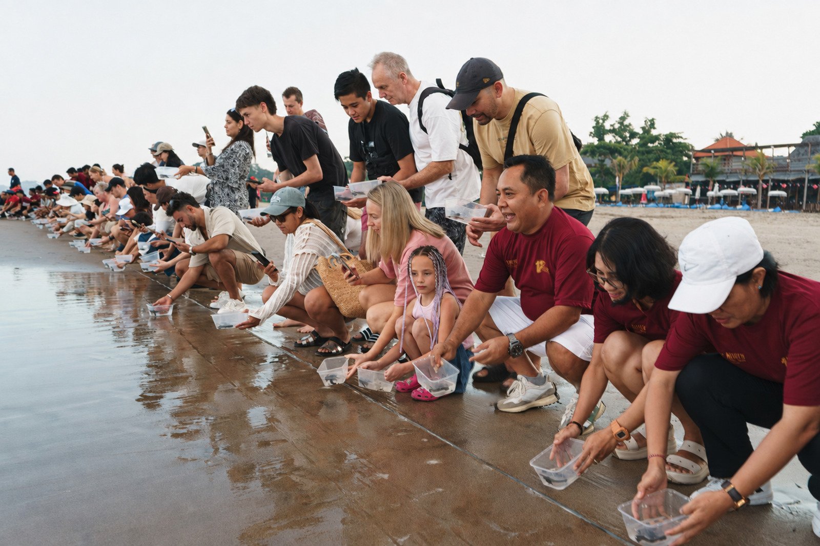 Rayakan 17th Anniversary, THE HAVEN Bali Seminyak Lepas 117 Tukik ke Laut