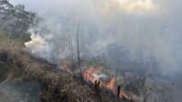 kawasan-bromo-kebakaran-hebat-1785799173478_169