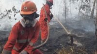 kebakaran_hutan_dan_lahan-O9ky_large