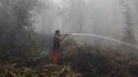 upaya-pemadaman-karhutla-di-kalimantan-tengah-2_169