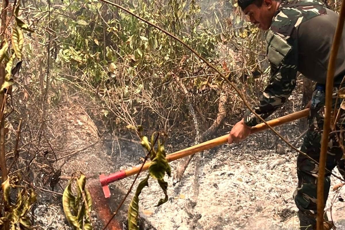 Karhutla di Way Kambas Meluas, BNPB Catat Sekitar 600 Hektar Lahan Terbakar