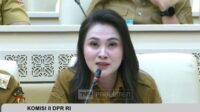 gubernur-maluku-utara-sherly-tjoanda-1789458442191_169 JAKARTA, NUSANTARA INFO: Gubernur Maluku Utara Sherly Tjoanda mengungkapkan belum adanya kepastian terkait usulan sertifikasi dan redistribusi 16 ribu hektare Tanah Objek Reforma Agraria (TORA) di wilayahnya. Persoalan tersebut disampaikan Sherly dalam rapat bersama Komisi II DPR RI, Selasa (15/9/2026). Sherly mengatakan, pemerintah daerah telah mengusulkan lahan tersebut melalui Kantor Wilayah Badan Pertanahan Nasional (BPN) Maluku Utara kepada Kementerian Agraria dan Tata Ruang/Badan Pertanahan Nasional (ATR/BPN). Menurut dia, proses verifikasi terhadap lahan TORA di Maluku Utara telah dilakukan sejak 2025. Dari total 24.500 hektare yang diusulkan, sekitar 16 ribu hektare disebut telah melalui proses verifikasi dan dinyatakan clear untuk ditindaklanjuti. "Kami sudah mengusulkan sejak akhir 2025, dari 24.500, kami sudah verifikasi dan sudah clear 16.000 hektare, diusulkan lewat Kanwil BPN kepada Kementerian ATR/BPN, tetapi saat ini belum ada hasilnya," kata Sherly dalam rapat. Pernyataan tersebut kemudian mendapat respons dari Ketua Komisi II DPR RI Rifqinizami Karsayuda yang memimpin jalannya rapat. Dalam kesempatan itu, Rifqi meminta penjelasan mengenai lamanya proses yang telah diajukan pemerintah daerah. "Jadi satu tahun Ibu sudah mengajukan, belum ada kepastian sampai hari ini?" tanya Rifqi. "Iya," jawab Sherly. Rifqi kemudian menyinggung Wakil Menteri ATR/BPN Ossy Dermawan yang hadir dalam rapat tersebut mewakili Menteri ATR/BPN Nusron Wahid. "Waduh, Pak Wamen, ini Bu Gubernur Maluku Utara di-PHP selama satu tahun," ujar Rifqi dengan nada berkelakar. Petani Terkendala Kepemilikan Lahan Dalam rapat tersebut, Sherly juga menjelaskan bahwa persoalan reforma agraria berkaitan langsung dengan kondisi masyarakat di Maluku Utara. Dia menyebut sekitar 60 persen penduduk Maluku Utara berprofesi sebagai petani. Menurut Sherly, keterbatasan kepastian kepemilikan atau penguasaan lahan menjadi salah satu persoalan yang dihadapi masyarakat. Kondisi tersebut dinilai dapat berpengaruh terhadap keberlanjutan kegiatan pertanian dan hasil panen masyarakat. Karena itu, Sherly mendorong agar peran pemerintah daerah dalam pelaksanaan reforma agraria diperkuat, khususnya melalui Gugus Tugas Reforma Agraria (GTRA). Sherly mengatakan, sebagai Ketua GTRA di tingkat daerah, pemerintah provinsi memiliki tanggung jawab dalam pelaksanaan agenda reforma agraria. Namun, dia menilai kewenangan pemerintah daerah untuk mengambil langkah eksekusi masih terbatas. "Sebagai ketua GTRA di daerah, kami merasa diberikan tanggung jawab tanpa ada kewenangan untuk mengeksekusi atau getting things done," kata Sherly. Total TORA Maluku Utara 36,2 Ribu Hektare Sherly memaparkan, total lahan yang masuk dalam objek reforma agraria di Maluku Utara mencapai 36,2 ribu hektare. Dari jumlah tersebut, baru sekitar 32 persen yang telah selesai melalui proses redistribusi dan sertifikasi. Dengan demikian, masih terdapat sekitar 24.500 hektare atau 68 persen yang belum selesai ditindaklanjuti. Angka tersebut menjadi perhatian karena reforma agraria tidak hanya berkaitan dengan proses administrasi pertanahan, tetapi juga menyangkut pemberian kepastian hukum atas penguasaan dan pemanfaatan tanah bagi masyarakat yang menjadi penerima manfaat. Dalam konteks Maluku Utara, pemerintah daerah mengaitkan percepatan penyelesaian TORA dengan kebutuhan masyarakat yang menggantungkan penghidupannya pada sektor pertanian. Sherly menjelaskan, pemerintah daerah sebelumnya telah mendapatkan informasi bahwa pelaksanaan lebih lanjut atas lahan yang diusulkan tersebut berada pada Bank Tanah. "Info terakhir yang kami dapat bahwa eksekusinya ada di Bank Tanah untuk dijadikan HPL (Hak Pengelolaan) kemudian boleh dijadikan hak pakai oleh petani," jelasnya. Minta Pemerintah Daerah Diberi Kewenangan Persoalan kewenangan menjadi salah satu poin utama yang ditekankan Sherly dalam rapat Komisi II DPR. Dia meminta posisi kepala daerah sebagai Ketua GTRA tidak hanya menempatkan pemerintah daerah sebagai pihak yang memiliki tanggung jawab koordinasi, tetapi juga memperoleh kewenangan yang memadai untuk mendorong penyelesaian di lapangan. Menurutnya, pemerintah daerah memiliki pengetahuan mengenai kondisi masyarakat dan kebutuhan lahan di wilayahnya. Karena itu, koordinasi antara pemerintah pusat, pemerintah daerah, BPN, dan lembaga terkait diperlukan agar proses redistribusi TORA tidak berhenti pada tahapan administratif. "Yang kami butuhkan di sini adalah ketika kami gubernur ditunjuk menjadi ketua GTRA, kami bukan hanya diberikan tanggung jawab, tapi juga diberikan kewenangan," imbuh Sherly. Persoalan yang disampaikan Sherly kini menjadi bagian dari pembahasan Komisi II DPR bersama pemerintah, terutama terkait mekanisme penyelesaian TORA, pembagian kewenangan antara pemerintah pusat dan daerah, serta posisi Bank Tanah dalam proses penyediaan dan pengelolaan tanah untuk kepentingan reforma agraria. Bagi Maluku Utara, percepatan penyelesaian lahan TORA menjadi penting karena masih terdapat puluhan ribu hektare yang belum menyelesaikan tahapan redistribusi dan sertifikasi. Kepastian mengenai status tanah menjadi salah satu faktor yang diharapkan dapat memberikan dasar hukum yang lebih jelas bagi masyarakat penerima manfaat untuk mengelola lahan secara berkelanjutan. (*)