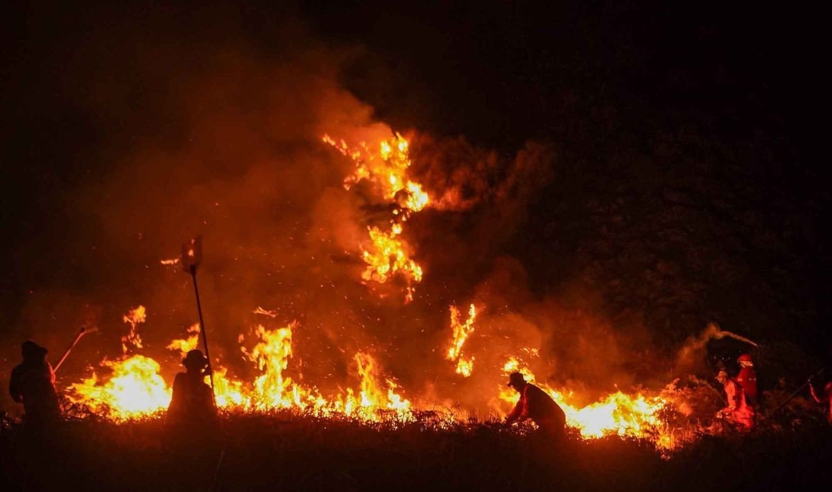 Karhutla Kembali Melanda 5 Kawasan Gunung di Jawa Timur