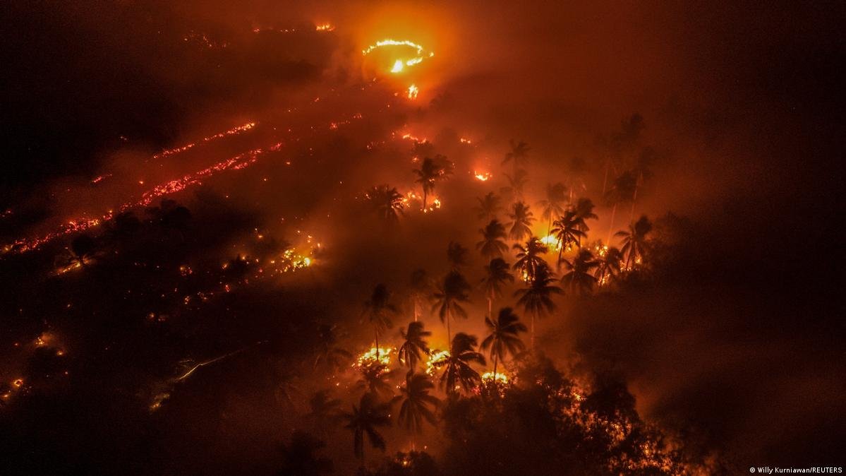 BNPB Catat 3.392 Hektare Lahan di Kalimantan Masih Terbakar, Kalteng Terparah
