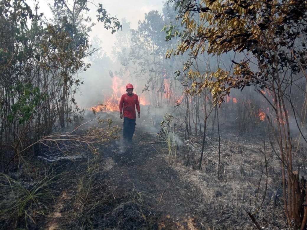 Karhutla Masih Terjadi di 6 Provinsi, 639 Hektare Lahan dalam Proses Pemadaman