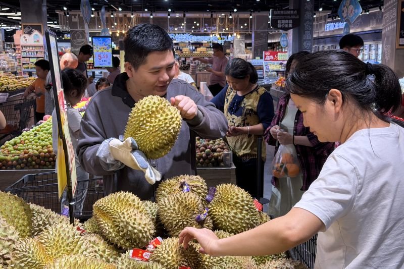 Durian Thailand Kuasai Pasar China, Petani Gunakan AI dan Sensor untuk Jaga Kualitas