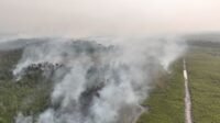 Karhutla Terjadi di 10 Distrik Merauke, BNPB Catat 63 Hektare Lahan Terbakar Karhutla Terjadi di 10 Distrik Merauke, BNPB Catat 63 Hektare Lahan Terbakar
